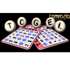 Bermain Di Agen Terpercaya Tentu Cukup menguntungkan | Togel Singapore | Togel Indonesia